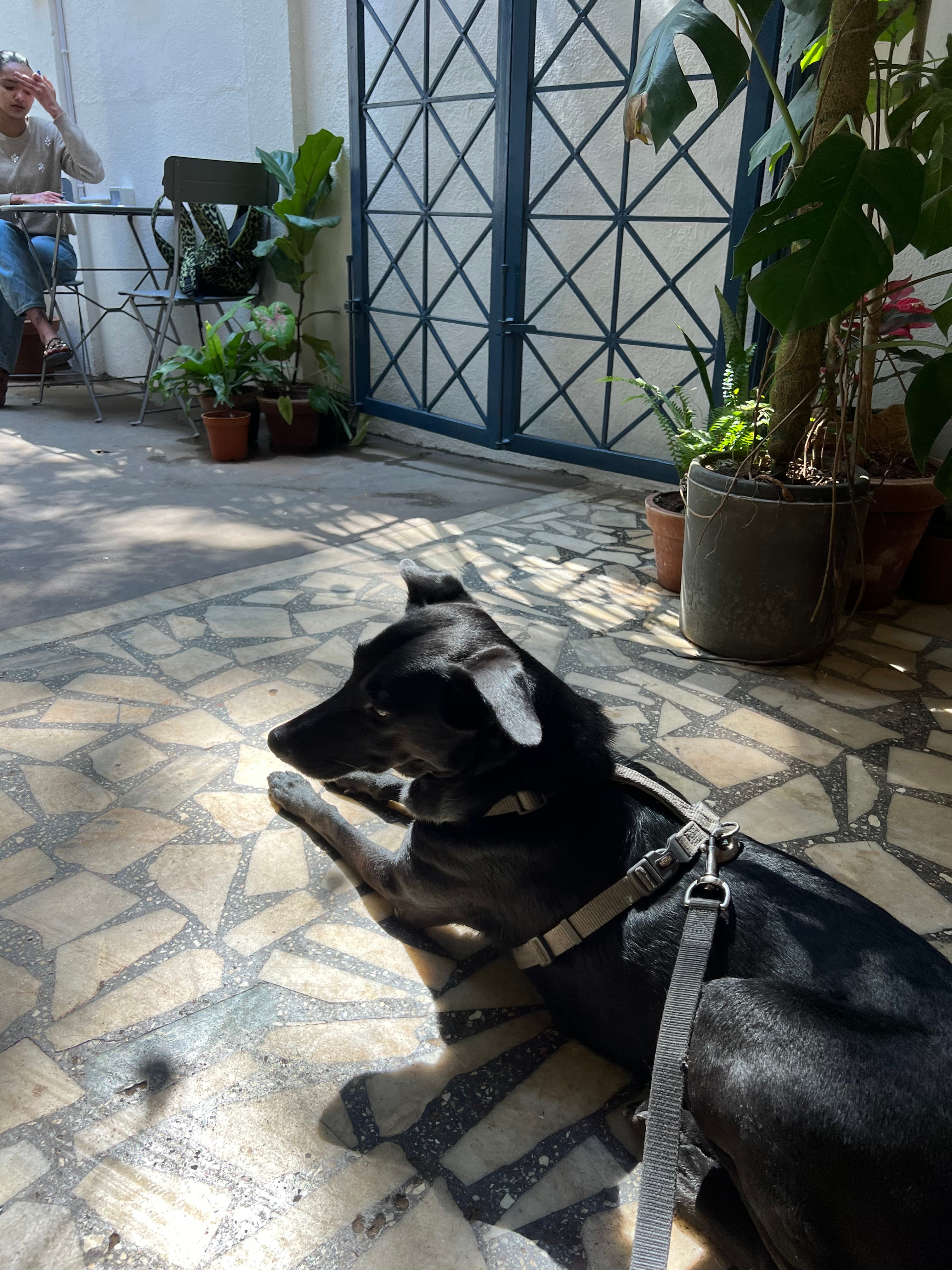 Indiranagar cafe space